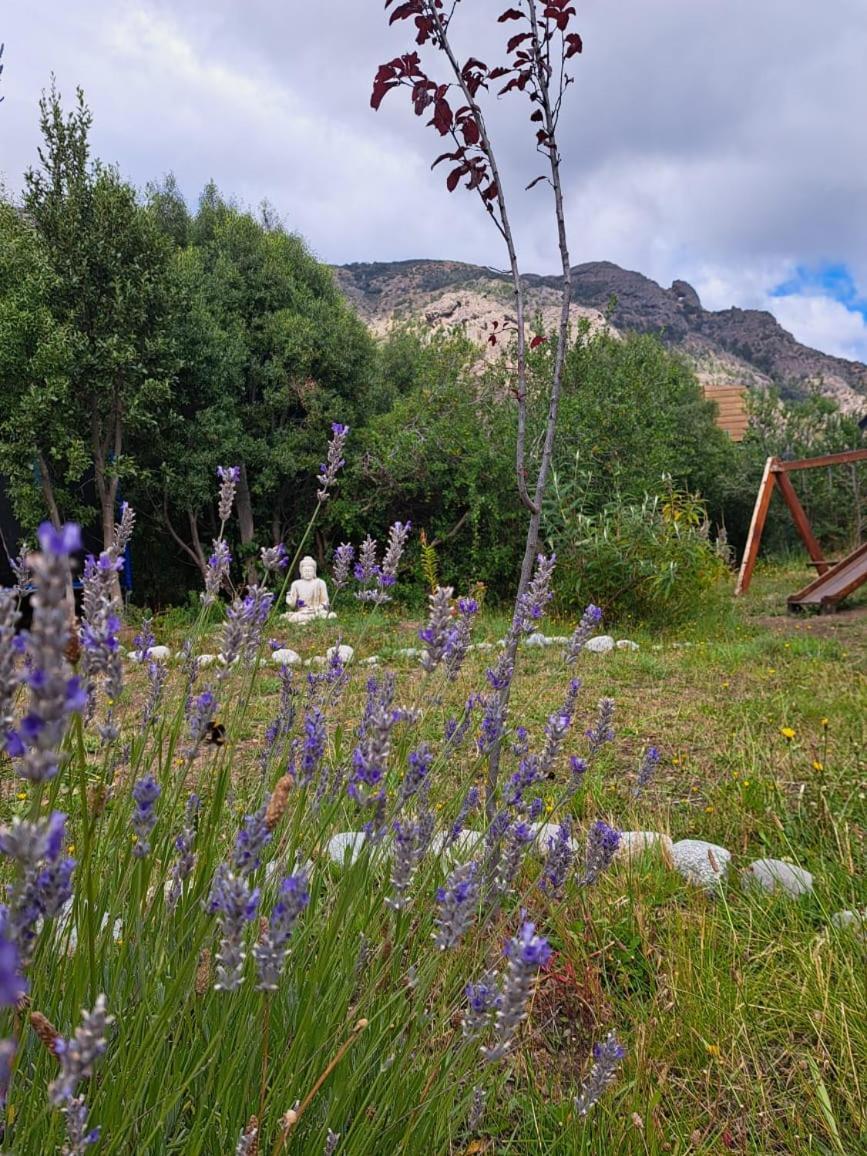 Cosmo - Solo Se Toma La Reserva Si Escribis Por Whatsapp Y Con Seña Previa- * San Carlos de Bariloche