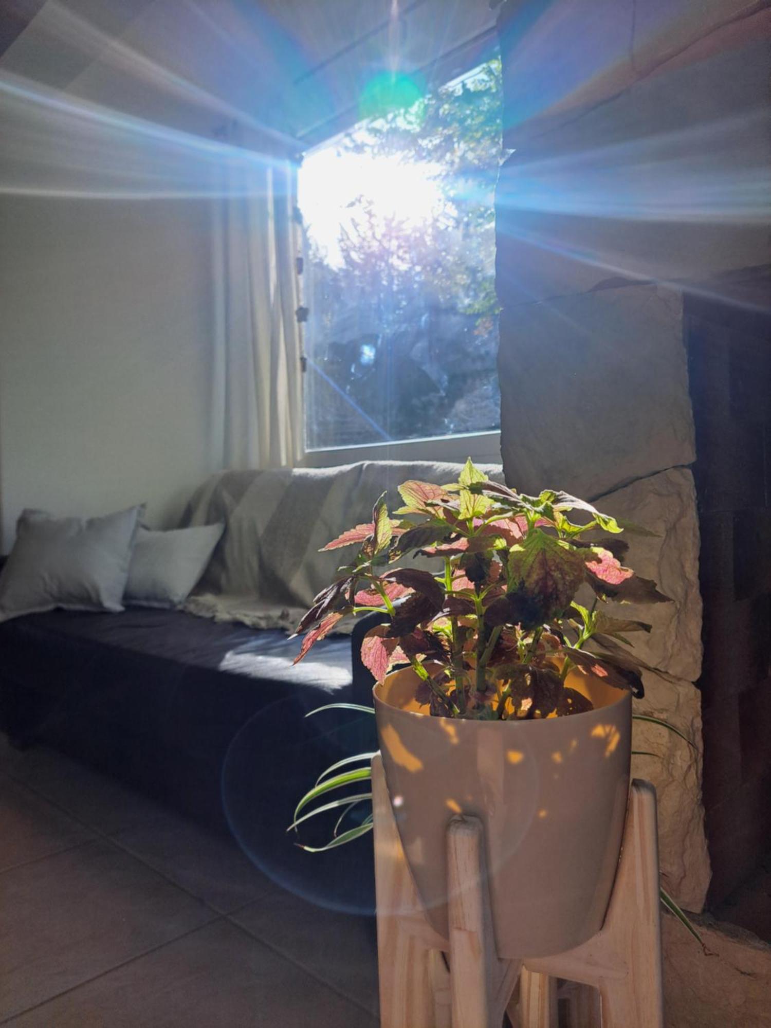 Apartamento Tres Lagos *