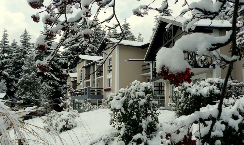 Residencia Pioneros San Carlos de Bariloche