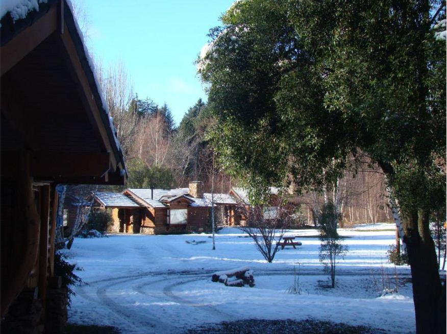 Lodge En El Corazón Del Bosque