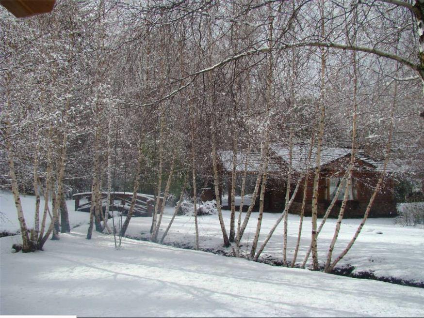 En El Corazón Del Bosque San Carlos de Bariloche