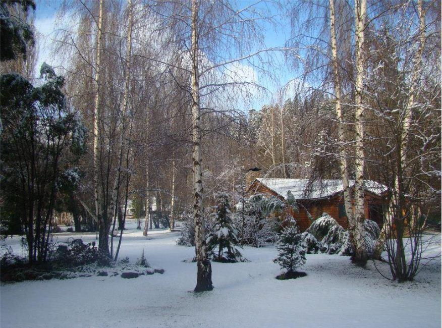 Lodge En El Corazón Del Bosque San Carlos de Bariloche