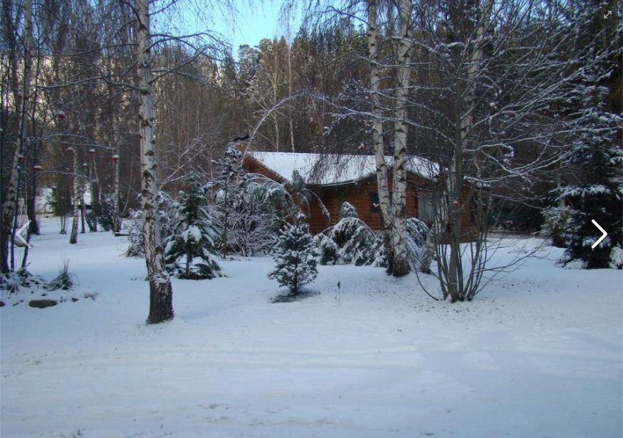 Lodge En El Corazón Del Bosque