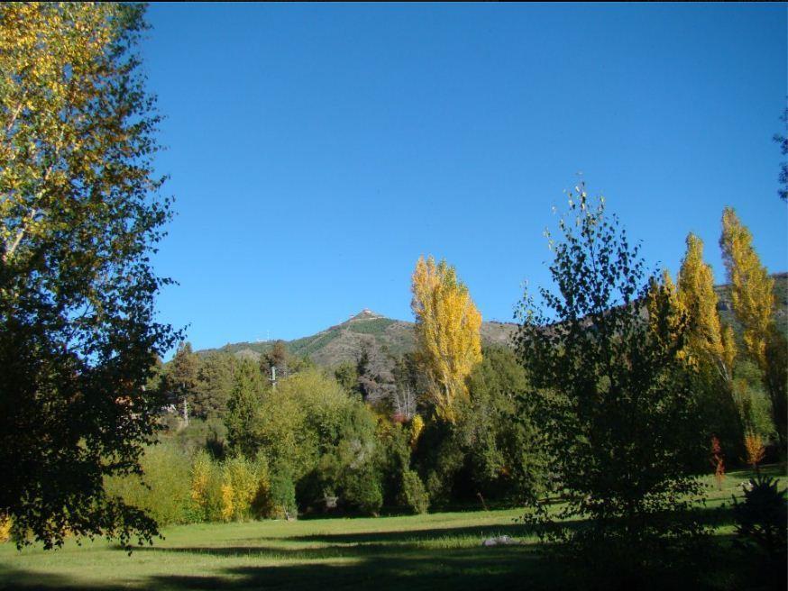 En El Corazón Del Bosque