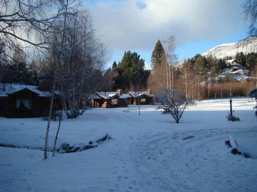 Lodge En El Corazón Del Bosque *