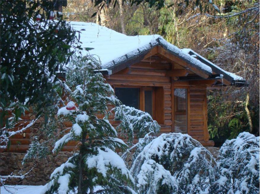 Lodge En El Corazón Del Bosque *
