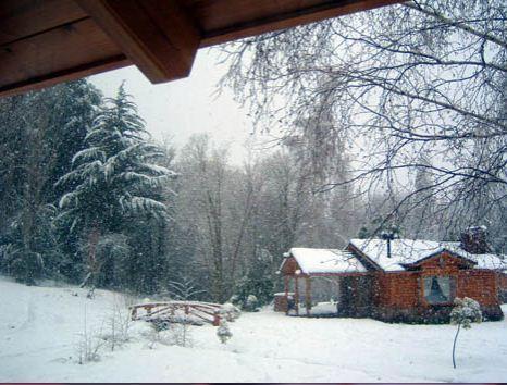 En El Corazón Del Bosque San Carlos de Bariloche
