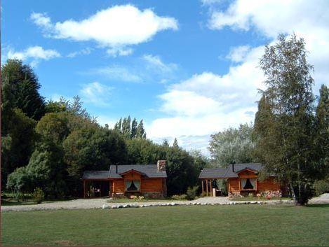 En El Corazón Del Bosque