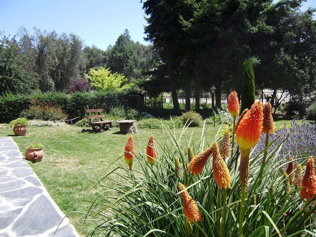 Apartamento San Ignacio *