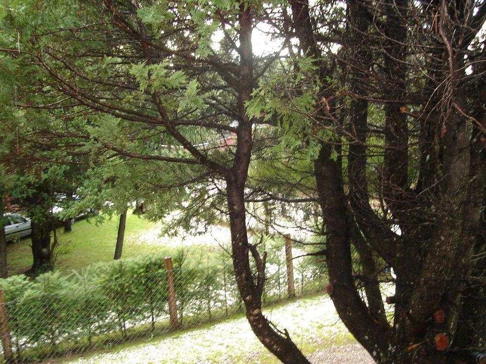 Tinsel's House San Carlos de Bariloche
