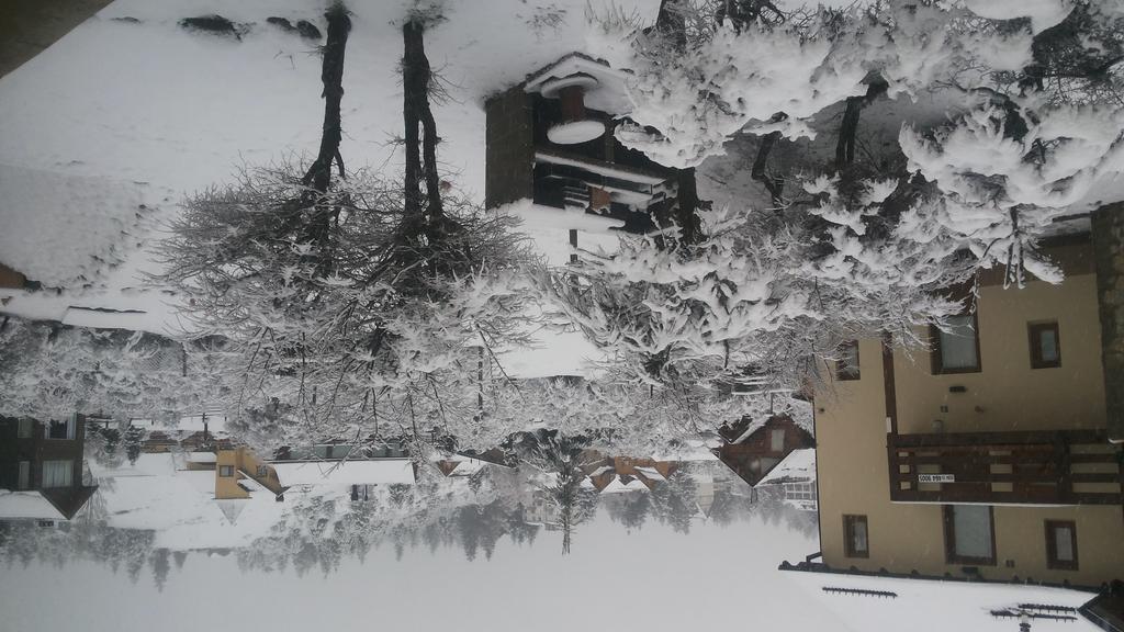 Base Catedral Apartment San Carlos de Bariloche