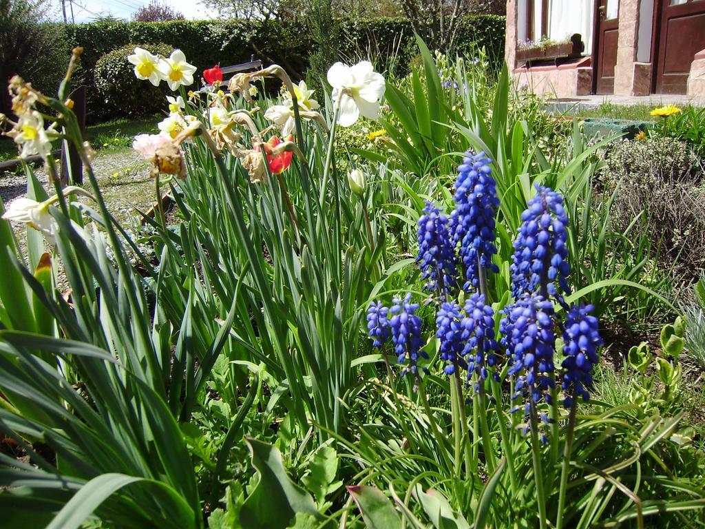 San Ignacio Apartamento San Carlos de Bariloche