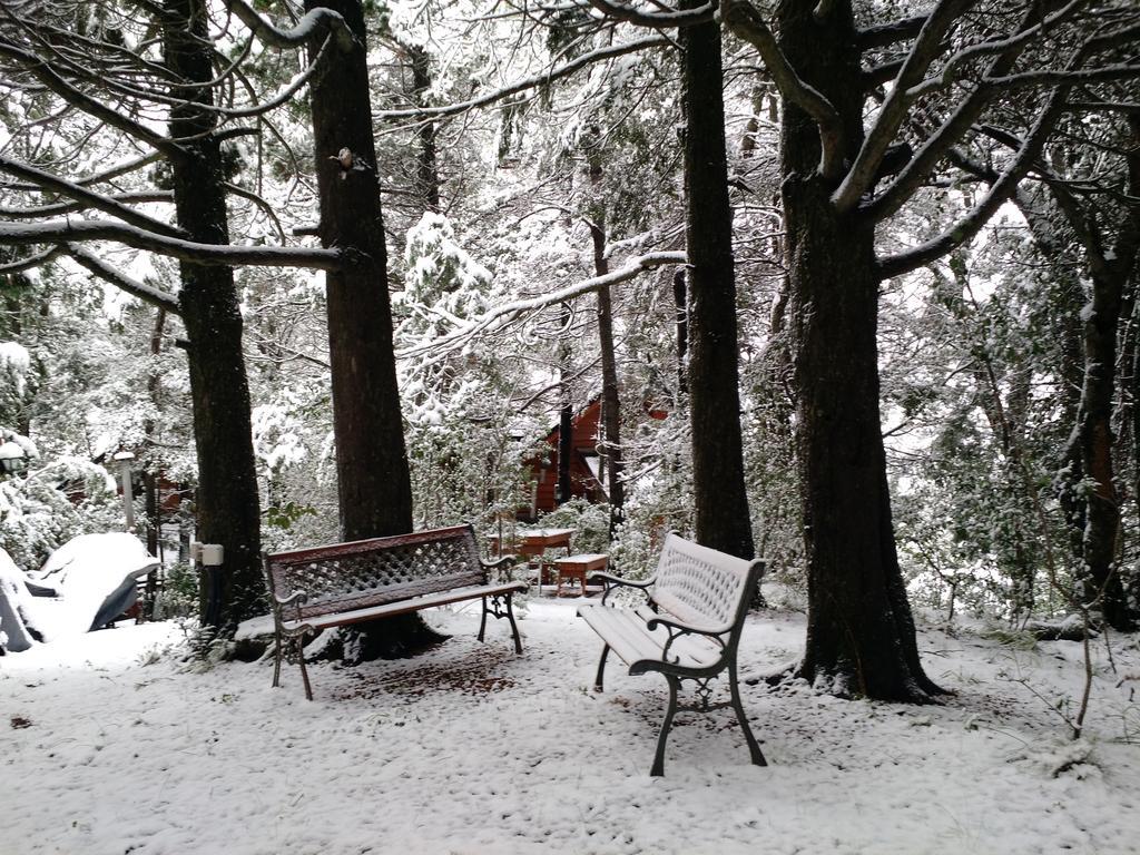 Calen-hue * San Carlos de Bariloche