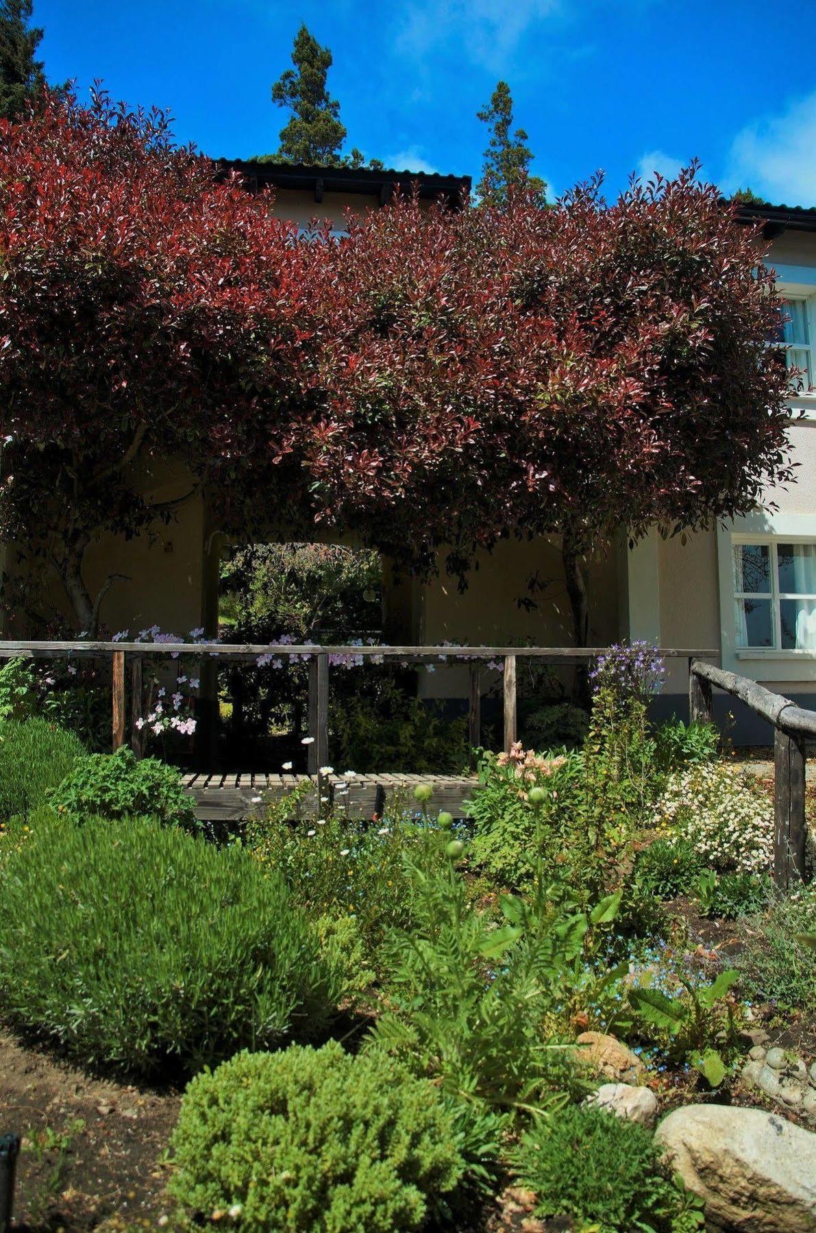 Residencia Pioneros Apartamento