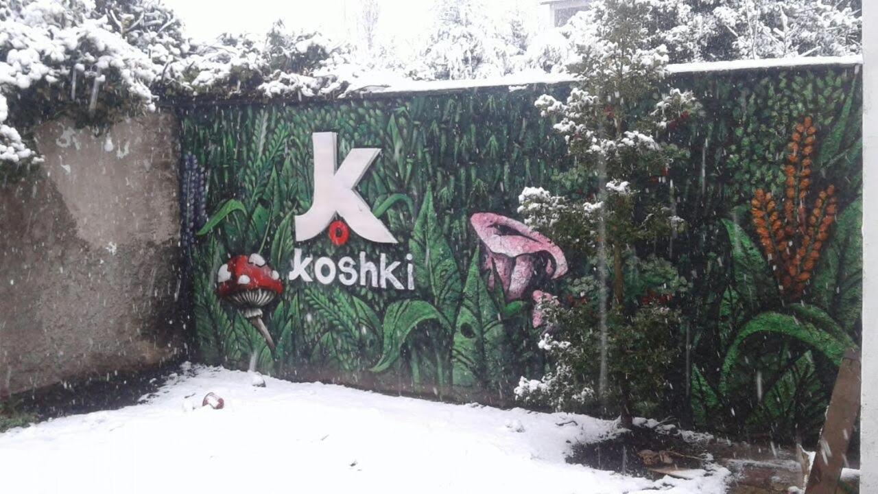 Kosh
