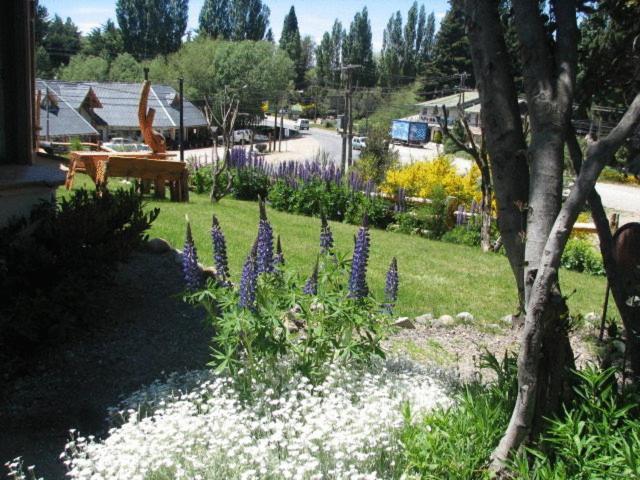 Sol Y Paz Bungalows Lodge *