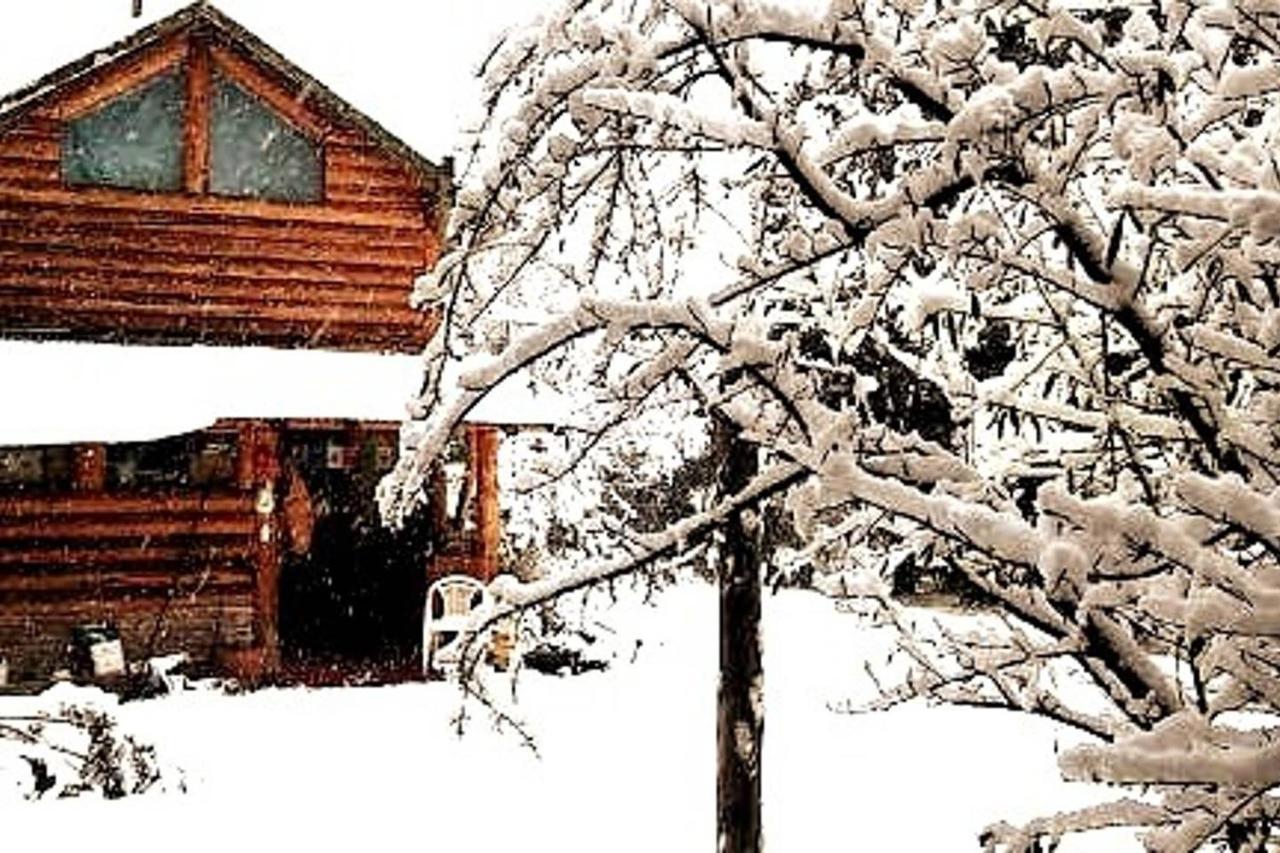 Chalet El Arka *