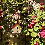 La casa de Pipi Lucas