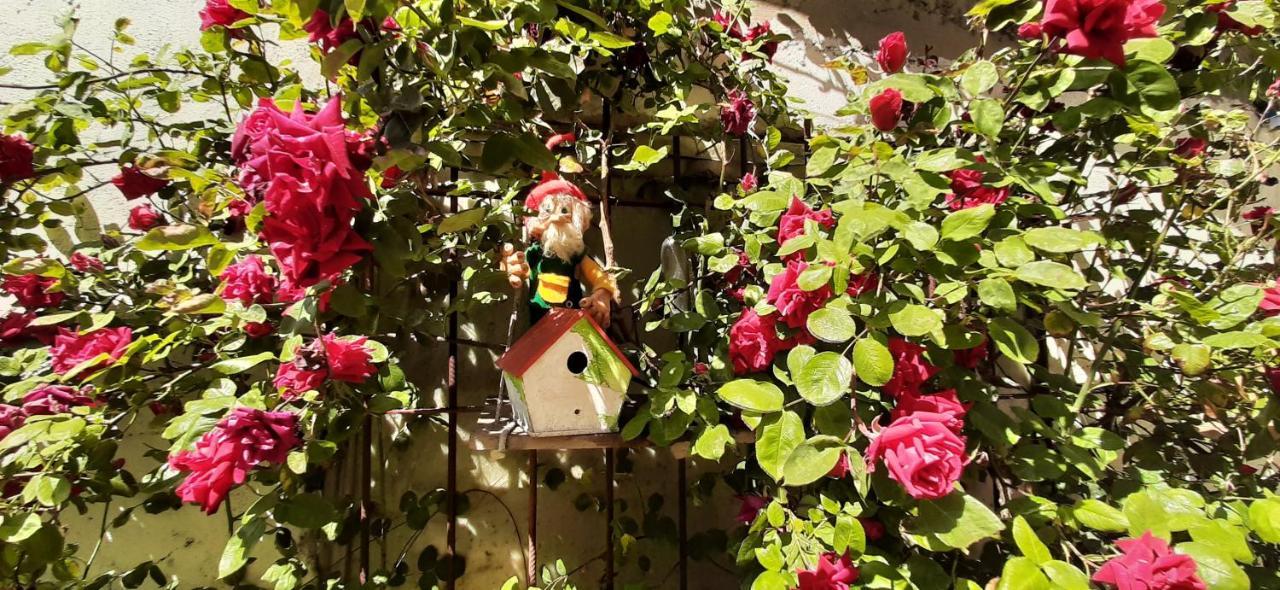 La Casa De Pipi Lucas