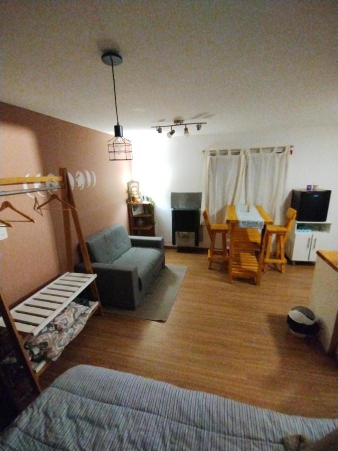 Apartamento Monoambiente Lindo Y Luminoso