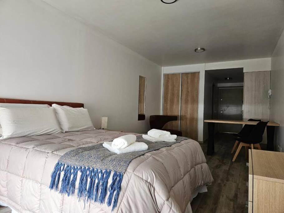 Apartamento Hermoso Y Centrico Monoanbiente Con Vista Al Lago En *