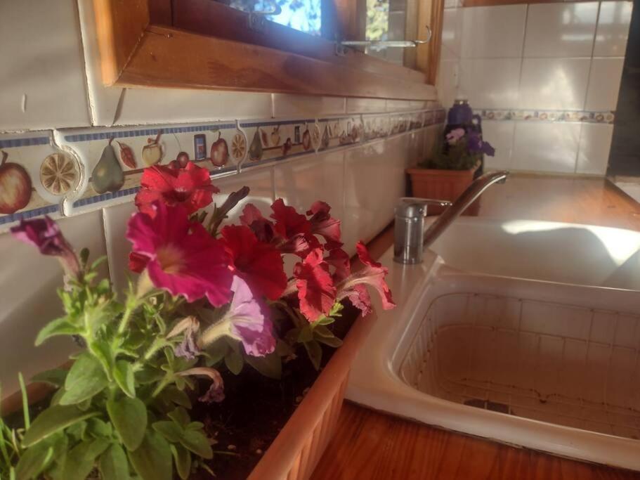 Luminosa Con Jardin, Zona Tranquila Apartamento