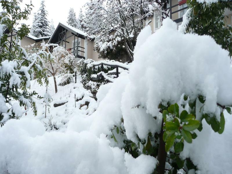 Aldea Andina Hotel&spa 3*